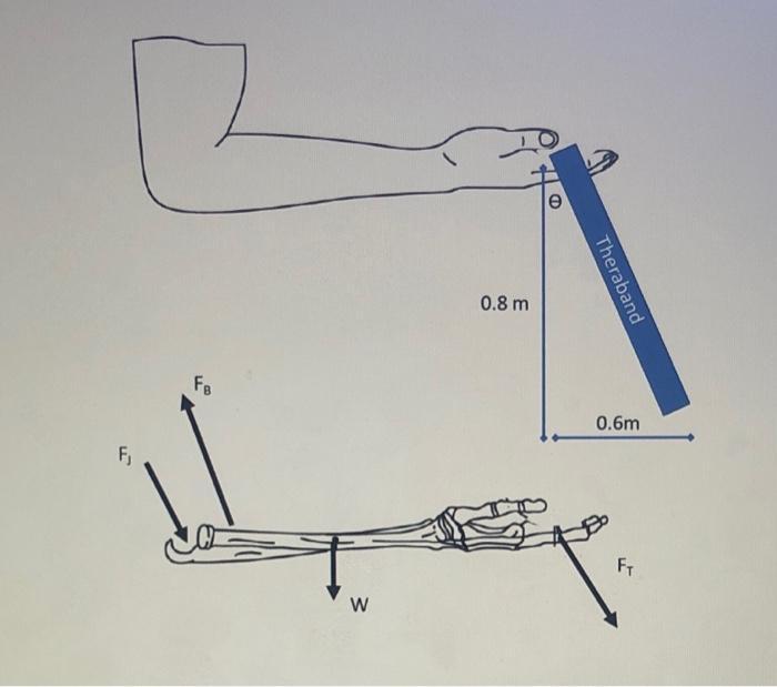 Solved It’s an arm day at the gym and all the free weights