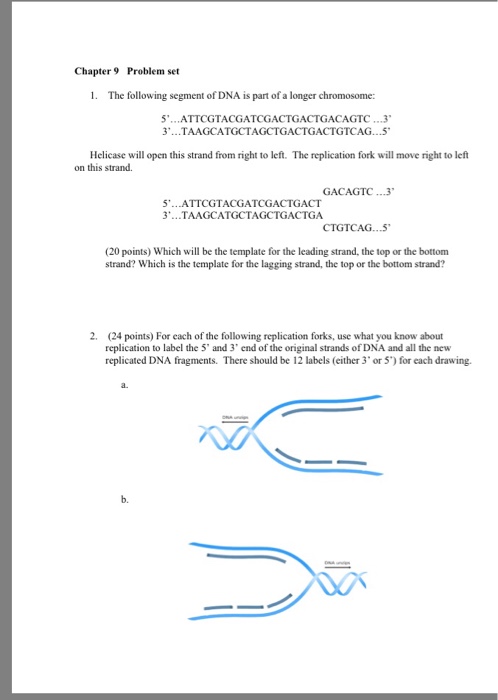 Solved Chapter 9 Problem set 1. The following segment of DNA | Chegg.com