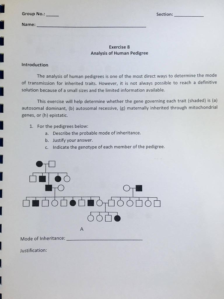Solved Group No.: Section: Name: Exercise 8 Analysis of | Chegg.com
