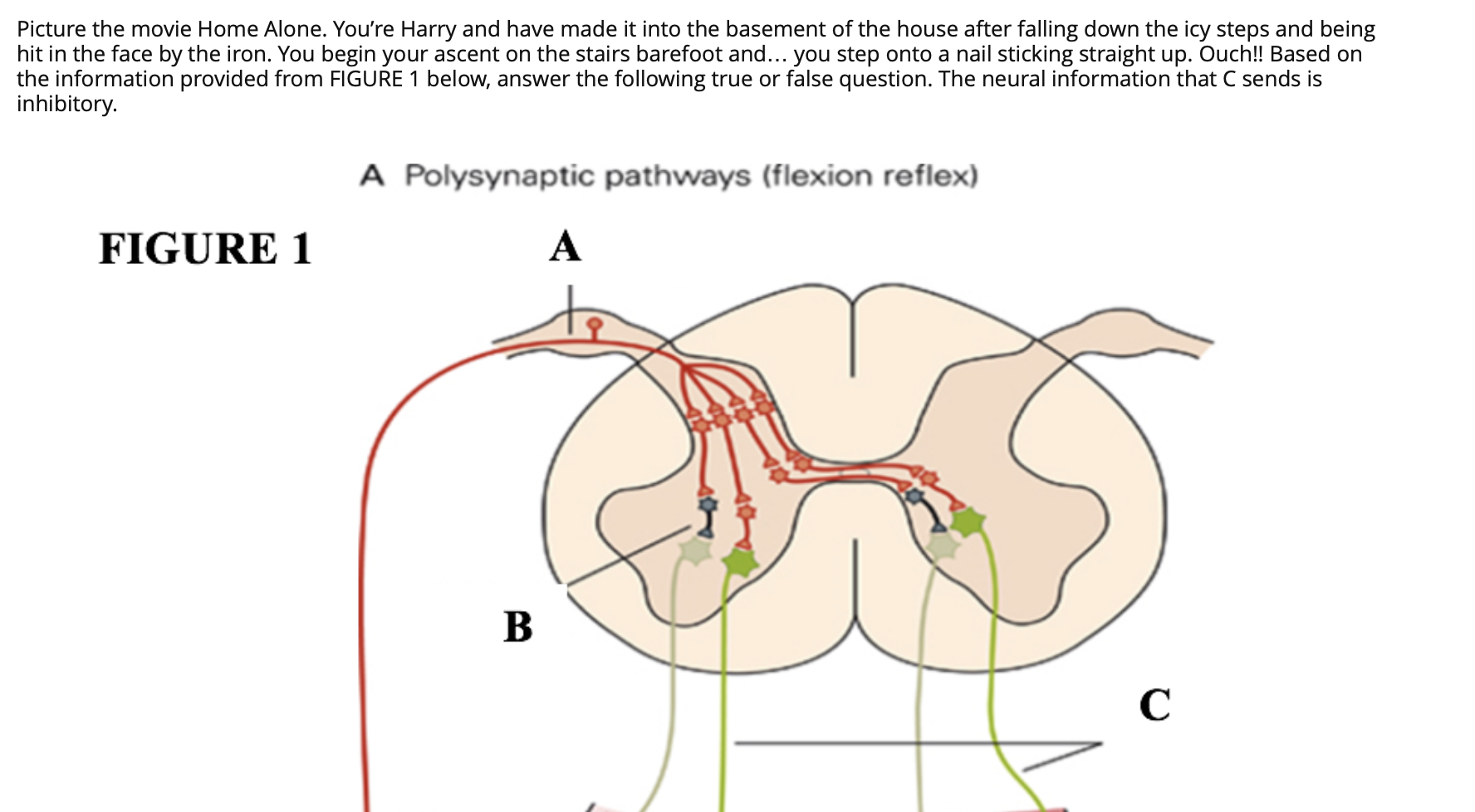 Solved Picture the movie Home Alone