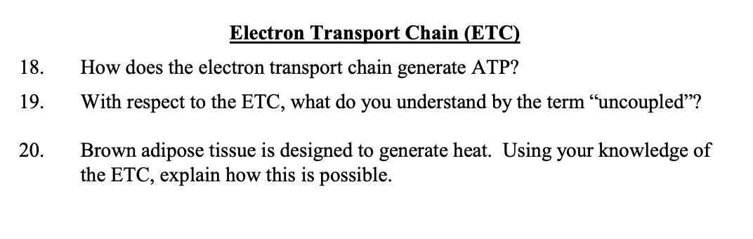 Solved 18. Electron Transport Chain (ETC) How does the | Chegg.com