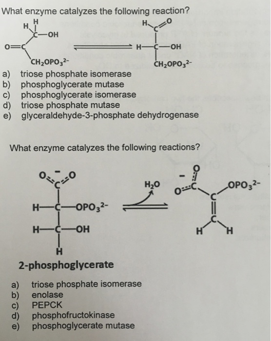 Solved What enzyme catalyzes the following reaction? 0