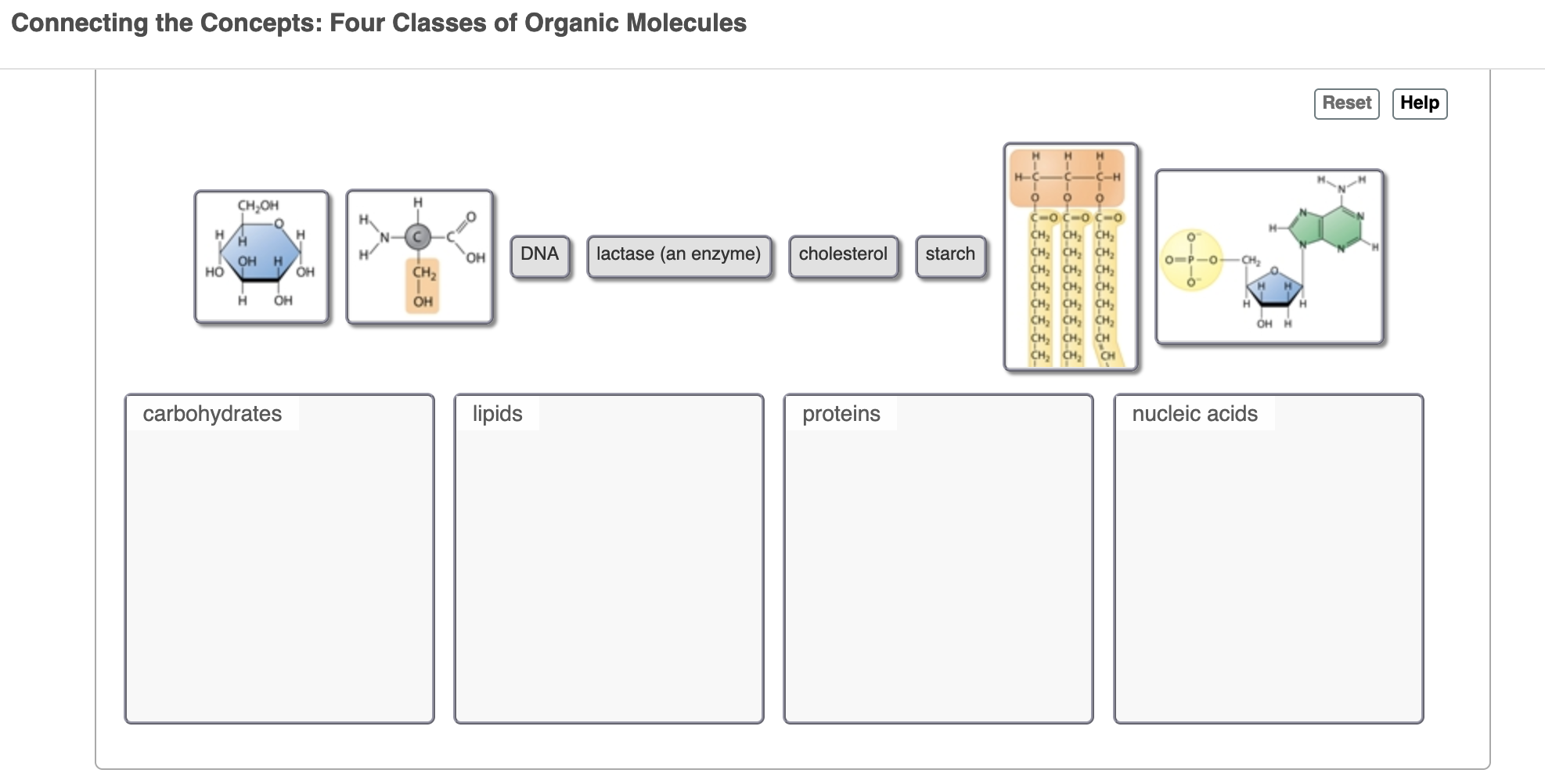 [Solved] Connecting the Concepts Four Classes of Organic