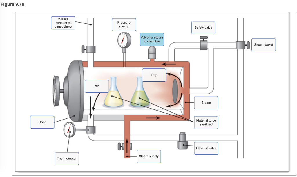 Schematic Diagram Of Autoclave