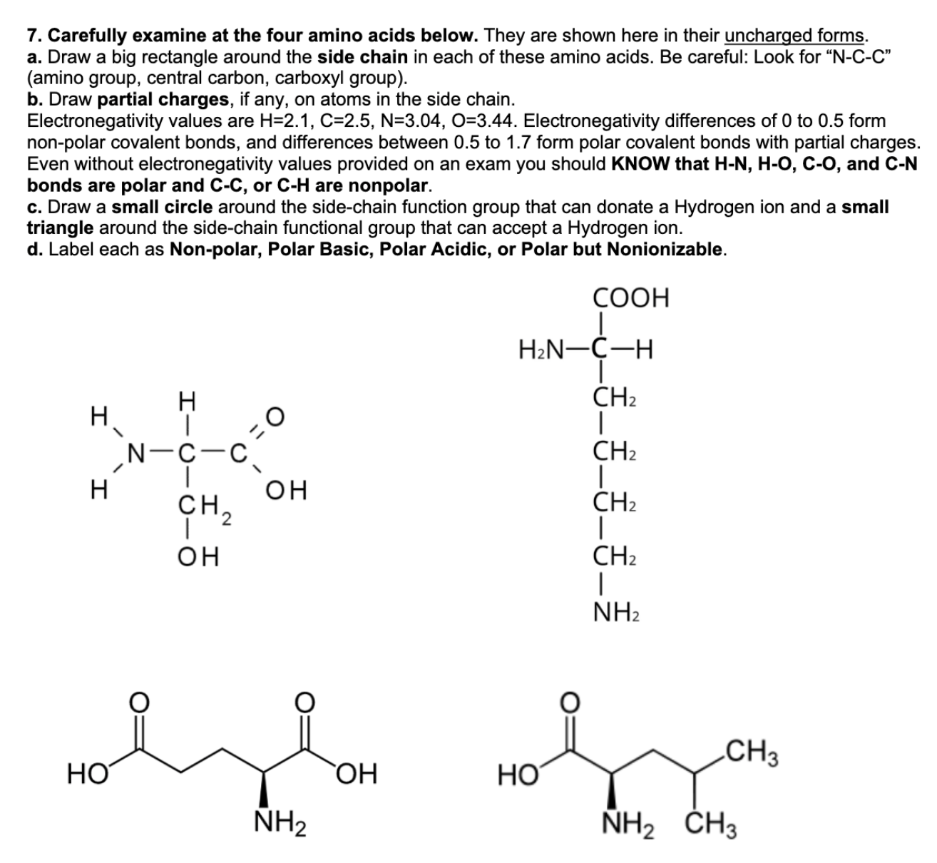 Solved Carefully examine at the four amino acids below. They
