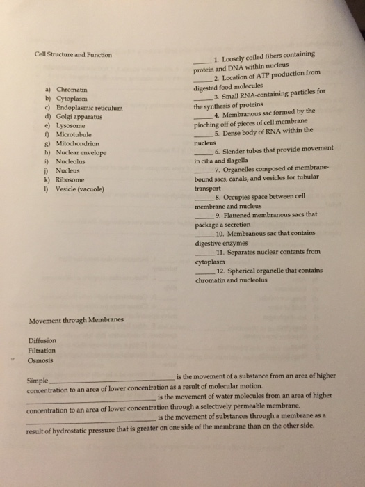 Solved Cell Structure and Function a) Chromatin b) Cytoplasm | Chegg.com