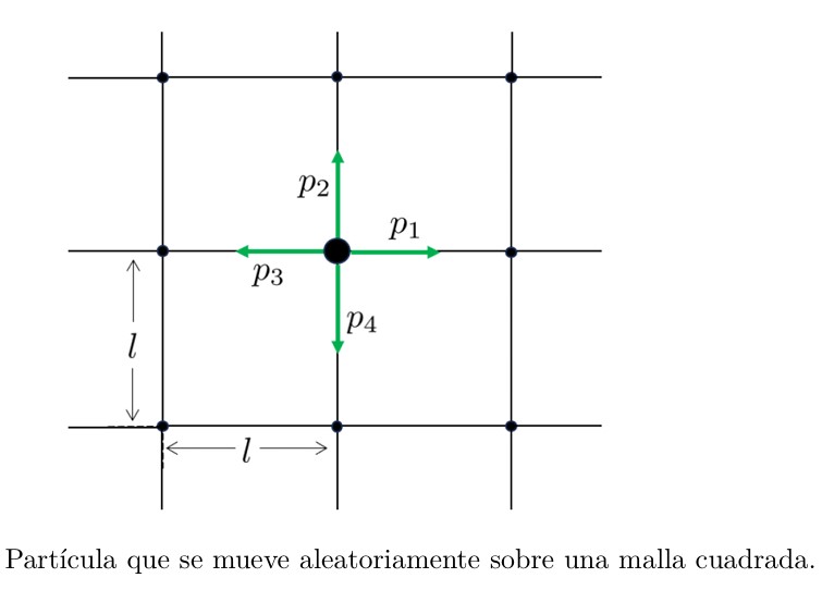 Solved Consider a hexagonal lattice and intuitively adapt | Chegg.com
