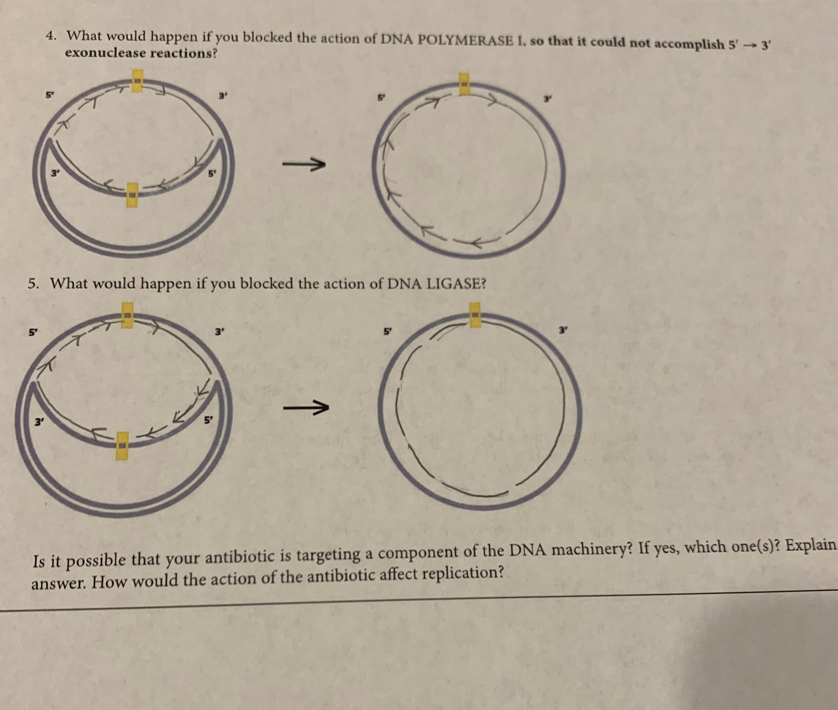 solved-can-some-one-help-me-figure-these-diagrams-out-i-chegg