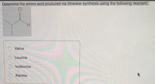 Solved Determine the amino acid produced via Strecker | Chegg.com