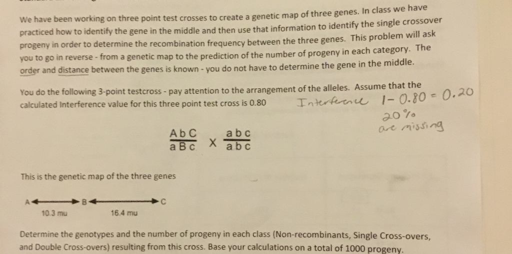 Genetic Mapping: Three-point Testcross and Double Crossover Interference