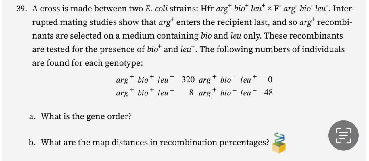 Solved 39. A cross is made between two E. coli strains: | Chegg.com