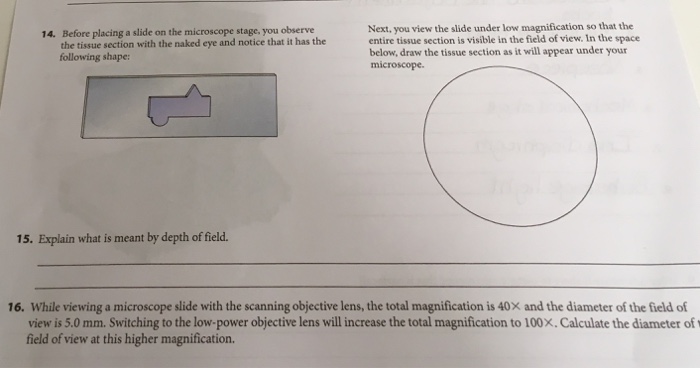 Solved Before placing a slide on the microscope stage, you | Chegg.com