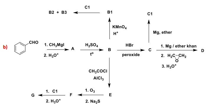 Solved What Are A, B, C, D, C1, B1, B2, B3, E, F, G | Chegg.com