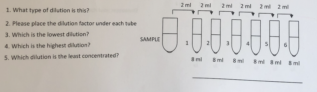 Solved 2 ml 2 ml 2 m 2ml 2 ml 2 m 1. What type of dilution | Chegg.com