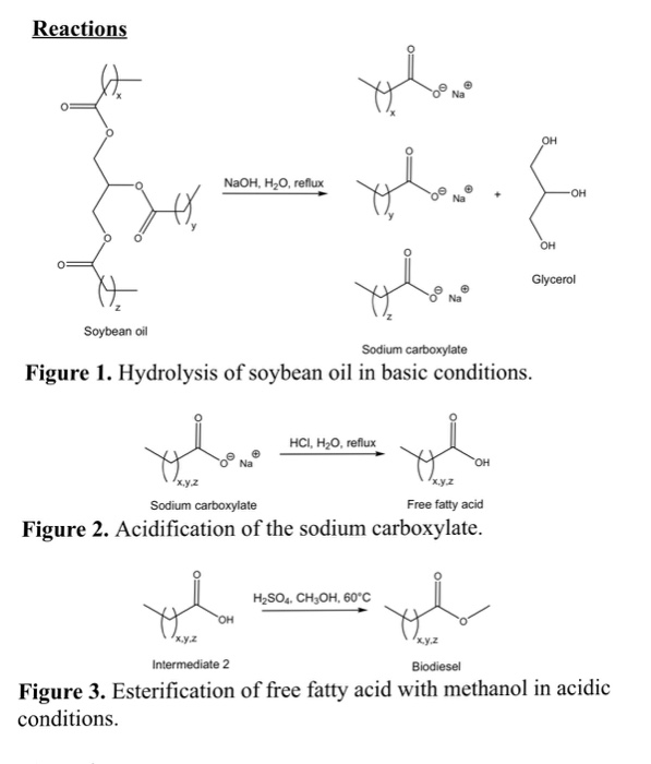 Solved Reactions NaOH, H20, reflux OH Glycerol Soybean oil