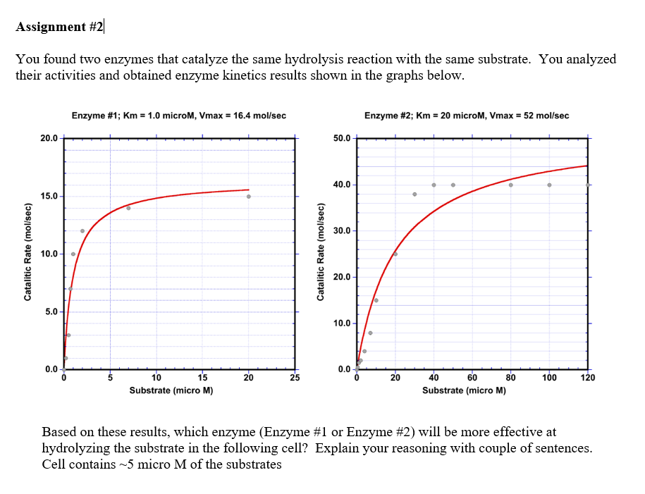 Solved Assignment #2 You found two enzymes that catalyze the | Chegg.com