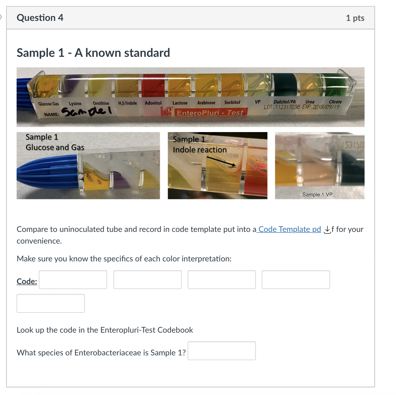 Solved Sample 1 - A known standard Compare to uninoculated | Chegg.com