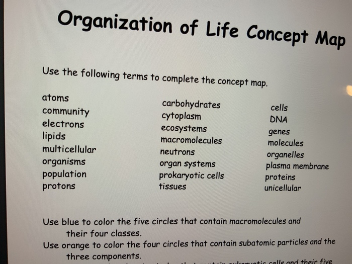 basic algorithm of life concept map