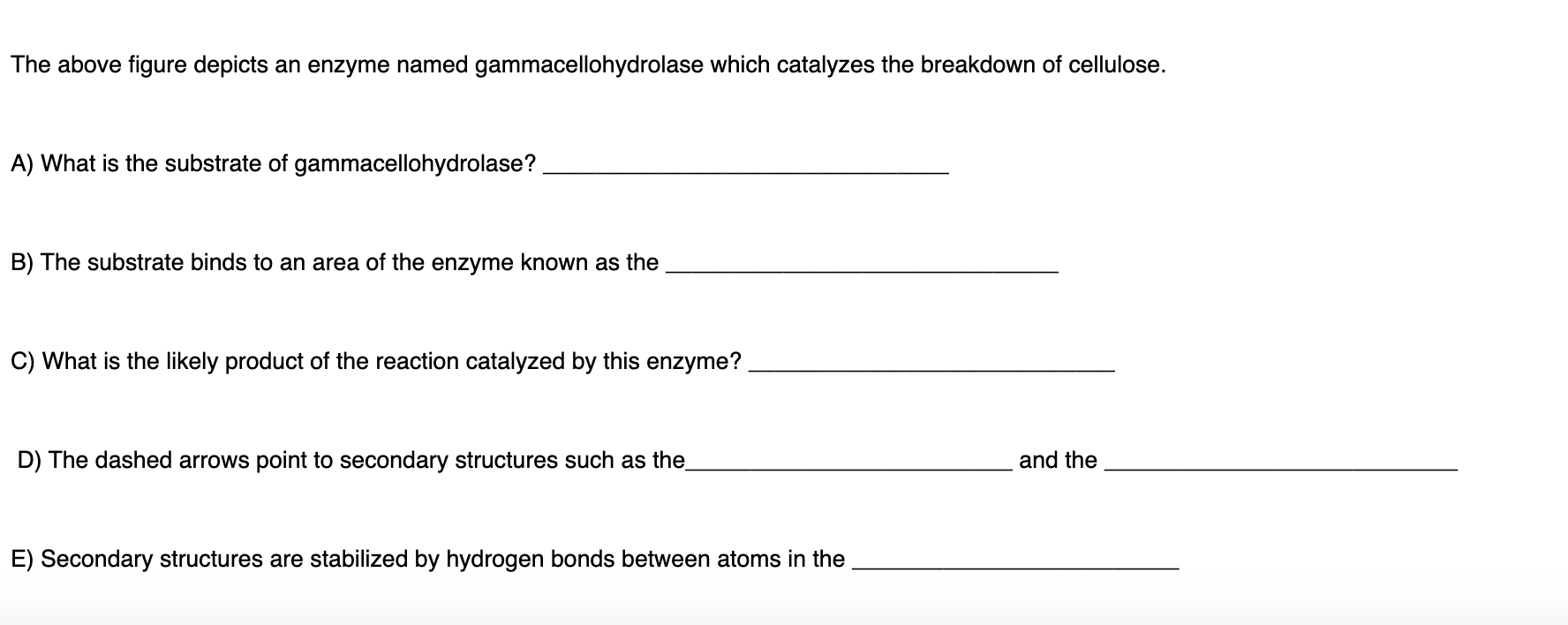 Solved The above figure depicts an enzyme named | Chegg.com