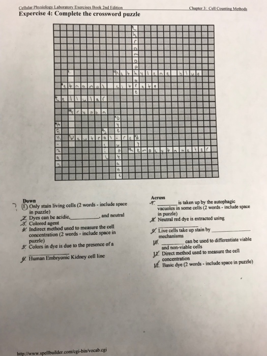 Solved Expercise 4: Complete the crossword puzzle Across D Chegg com