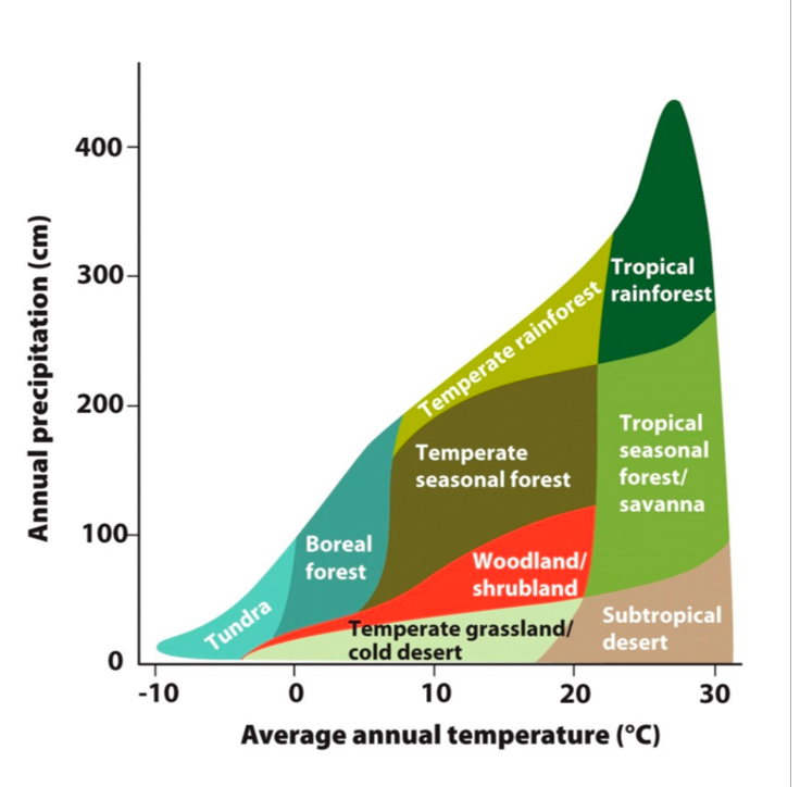 tropical rainforest graph of temperature and precipitation