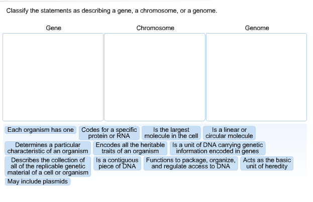 Solved Classify the statements as describing a gene, a | Chegg.com
