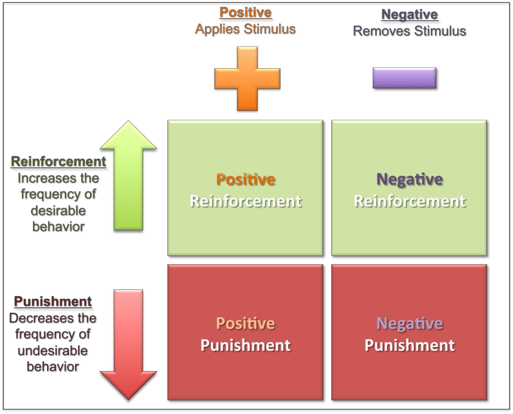 positive negative reinforcement punishment