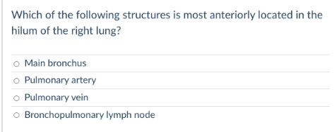 Solved Which of the following structures is most anteriorly | Chegg.com