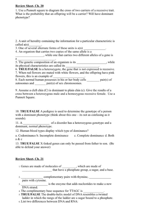 solved-1-use-a-punnett-square-to-diagram-the-cross-of-two-chegg