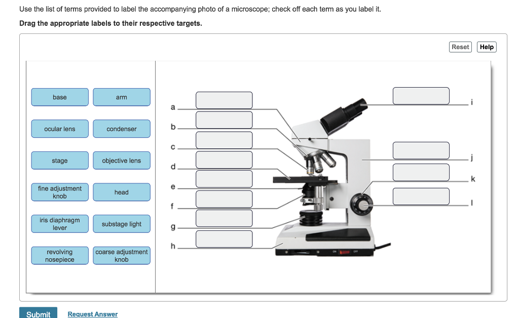 microscope labeled