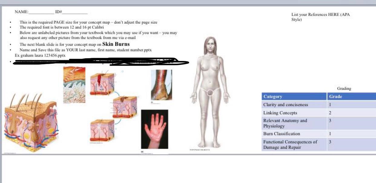 could you please format the map as a concept map and | Chegg.com