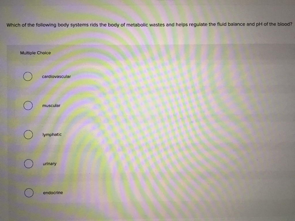 Solved Which of the following body systems rids the body of