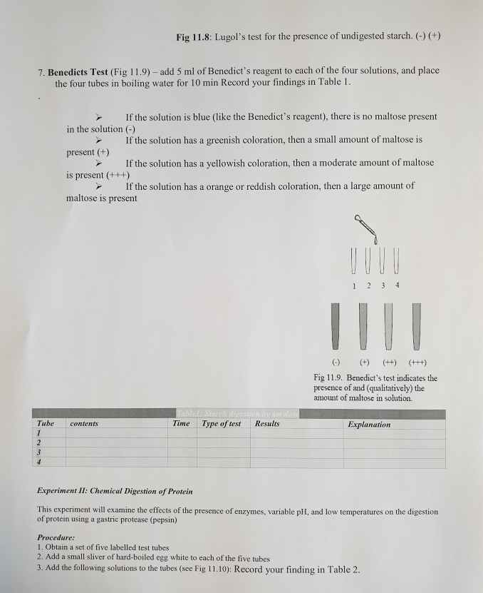 Solved Experiment I Chemical Digestion of Carbohydrate This
