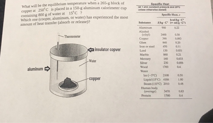Solved What Will Be The Equilibrium Temperature When A 265 g Chegg