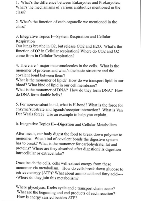 Solved 1. What's the difference between Eukaryotes and | Chegg.com