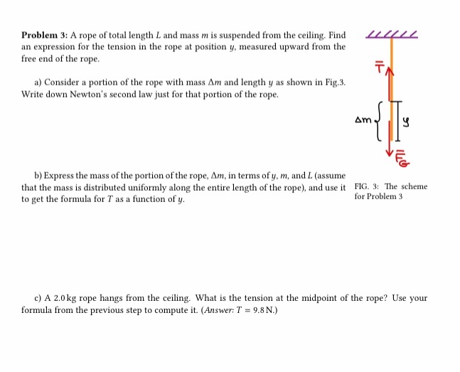 Solved Problem 3: A rope of total length L and mass m is | Chegg.com