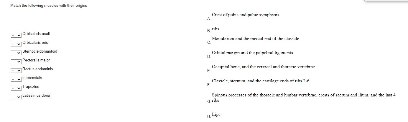 Solved Match the following muscles with their origins Crest