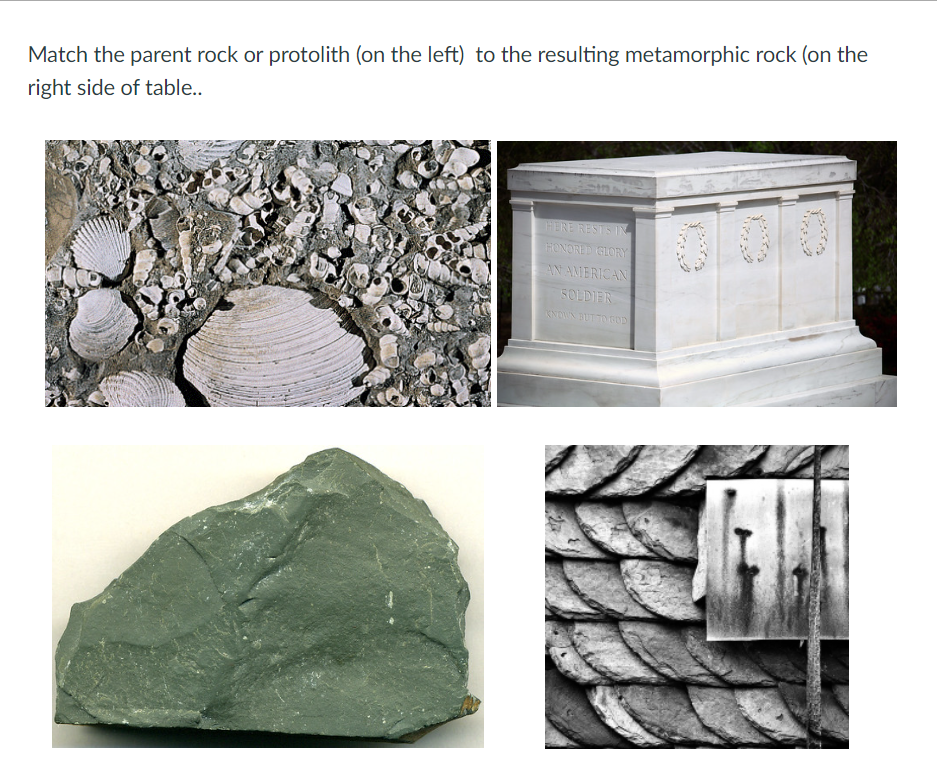 Solved Match the parent rock or protolith (on the left) to