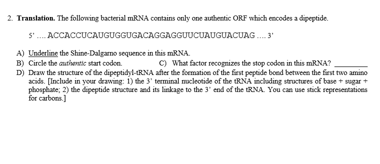 Solved 2. Translation. The following bacterial mRNA contains | Chegg.com