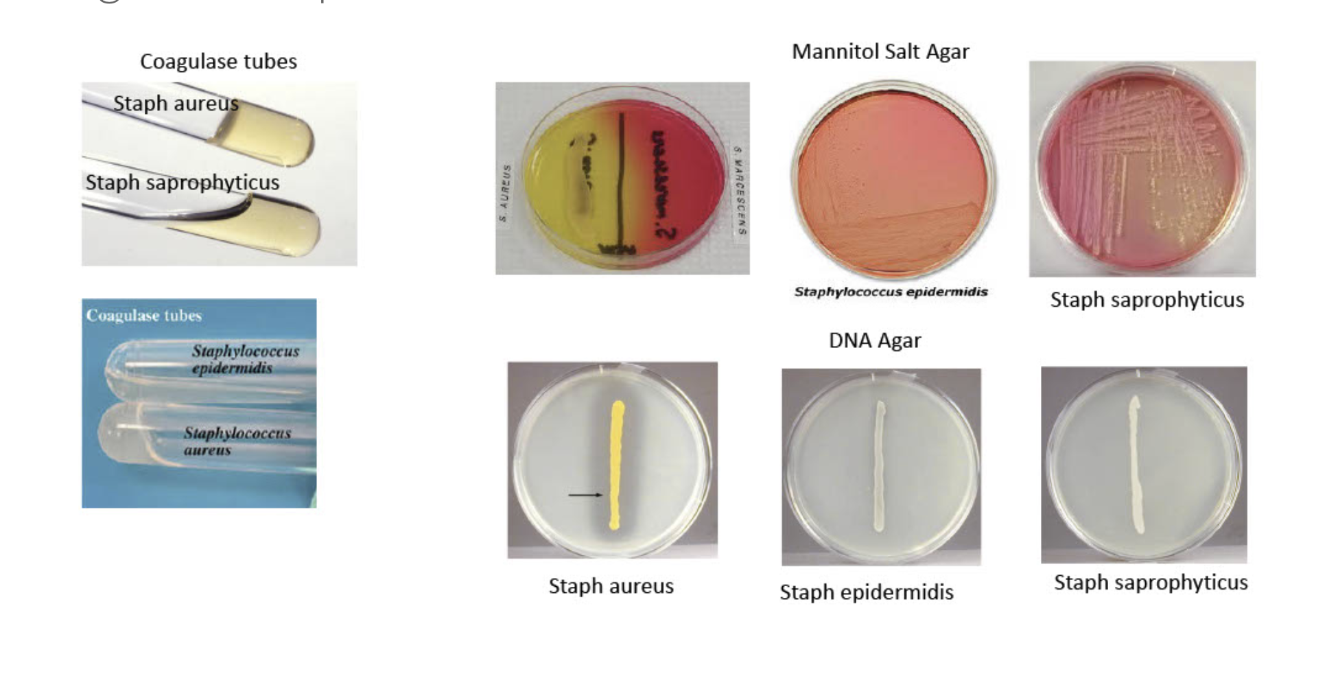 I Don T Understand How I Am Suppose To Fill Out Th Chegg Com
