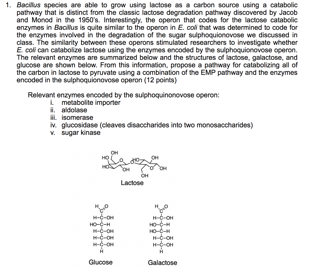 Solved 1. Bacillus species are able to grow using lactose as | Chegg.com