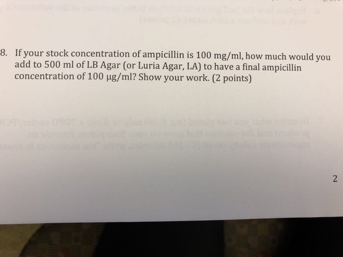 Solved 8 If Your Stock Concentration Of Ampicillin Is 100