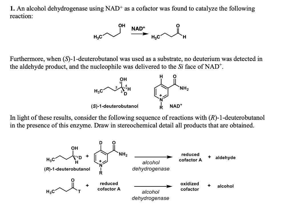 Solved 1. An alcohol dehydrogenase using NAD+as a cofactor | Chegg.com