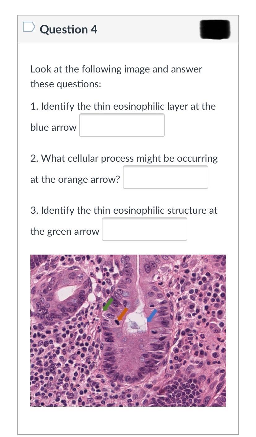 Solved Question 1 Look At The Following Image And Answer | Chegg.com