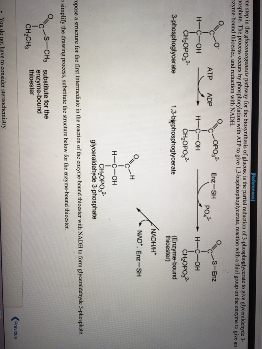 Solved One step in the gluconeogenesis pathway for the | Chegg.com