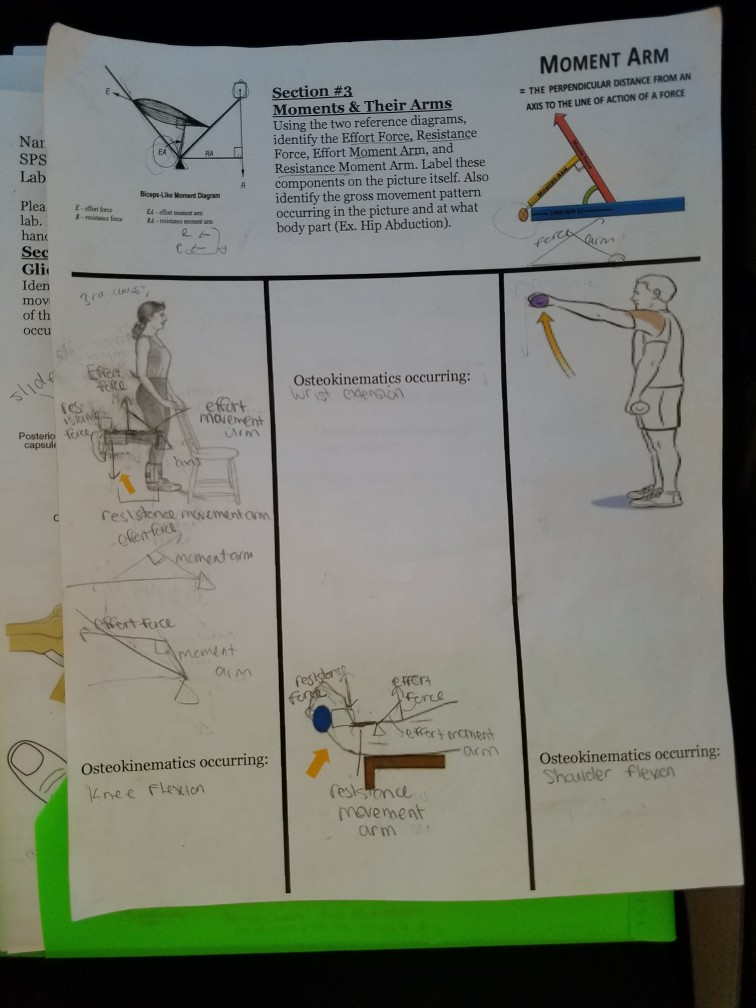 How Do I Find And Label The Effort Force Resistance Chegg How Do I Find And Label The Effort Force Resistance Chegg