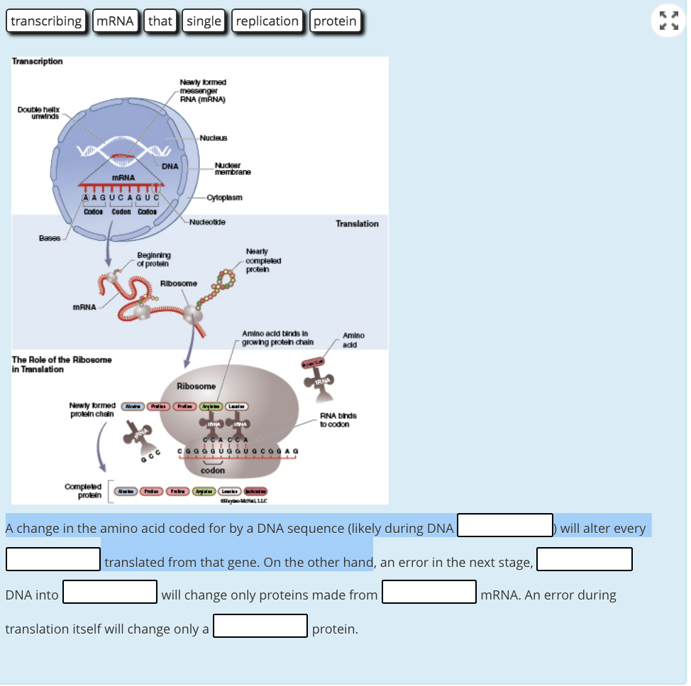 Solved codon three AUG prokaryotes Since translation always | Chegg.com