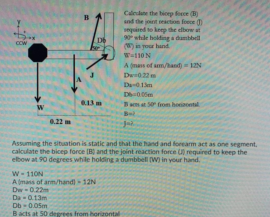 Solved Calculate the bicep force (B) and the joint reaction | Chegg.com