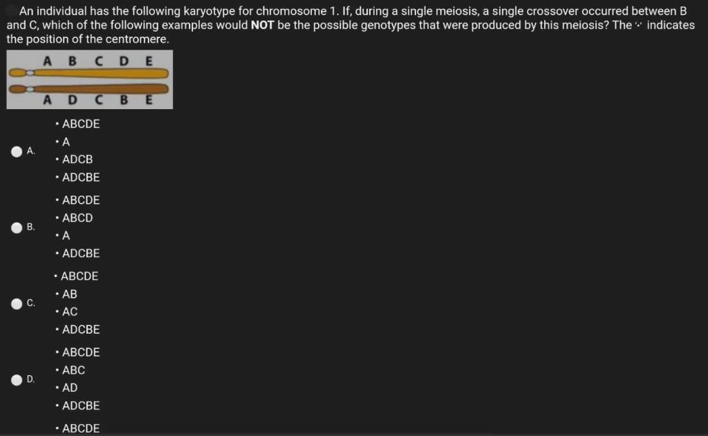 Solved A point mutation that alters a codon specifying the | Chegg.com