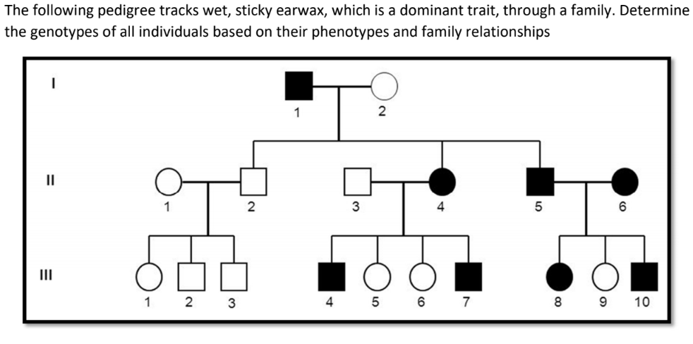Solved The following pedigree tracks wet, sticky earwax, | Chegg.com